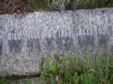 image of grave number 953950